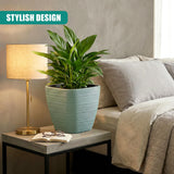 Aqua ribbed planter holding a vibrant green houseplant sits on a small side table.