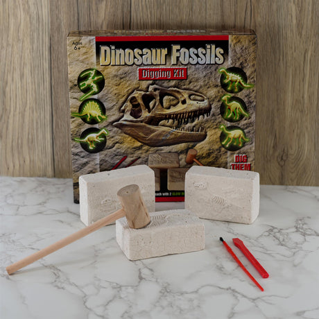 Dinosaur Fossils Digging Kit by The Magic Toy Shop - UKBuyZone