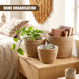 Three woven wicker baskets displaying plants, succulents, and stacked books on a wooden surface.