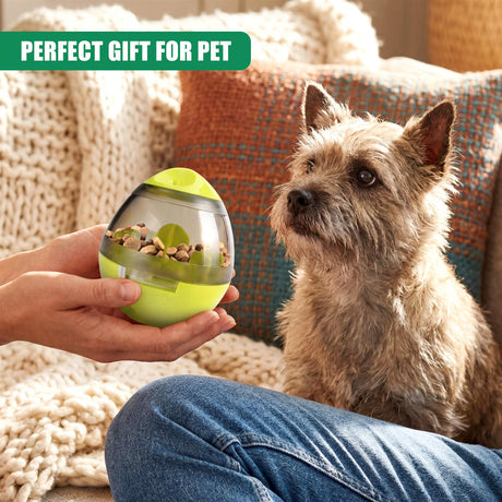 A person displays a treat dispenser toy filled with kibble next to a small dog.