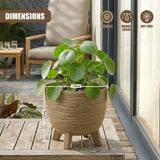 Plant in a ribbed, brown ceramic pot supported by three visible legs, containing green foliage.