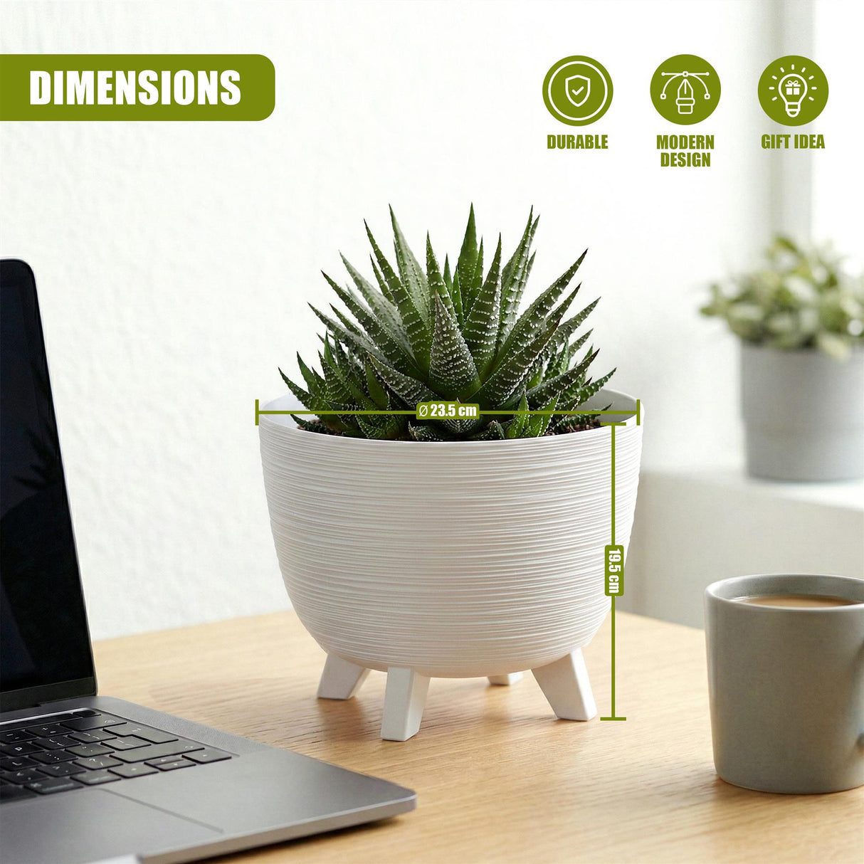 White, ribbed planter pot with legs displaying a succulent plant on a wood table surface.