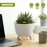 White, ribbed planter pot with legs displaying a succulent plant on a wood table surface.