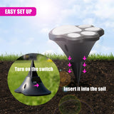 Paw Print Solar Stake Light, Set of 4