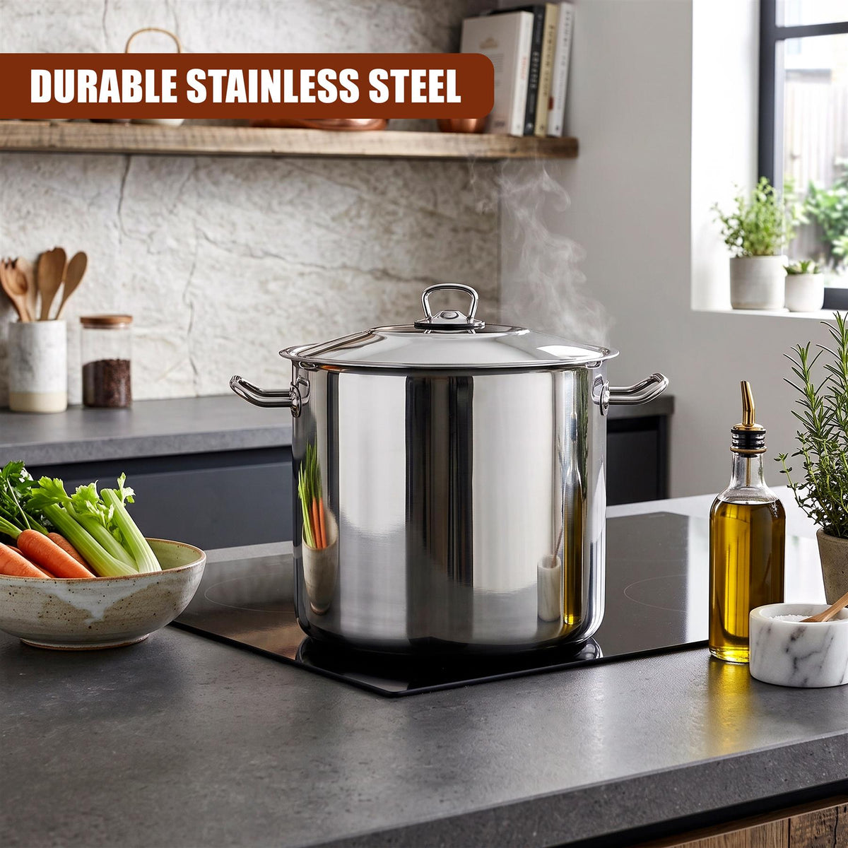 Arian Gastro Stock Pot - 17 L