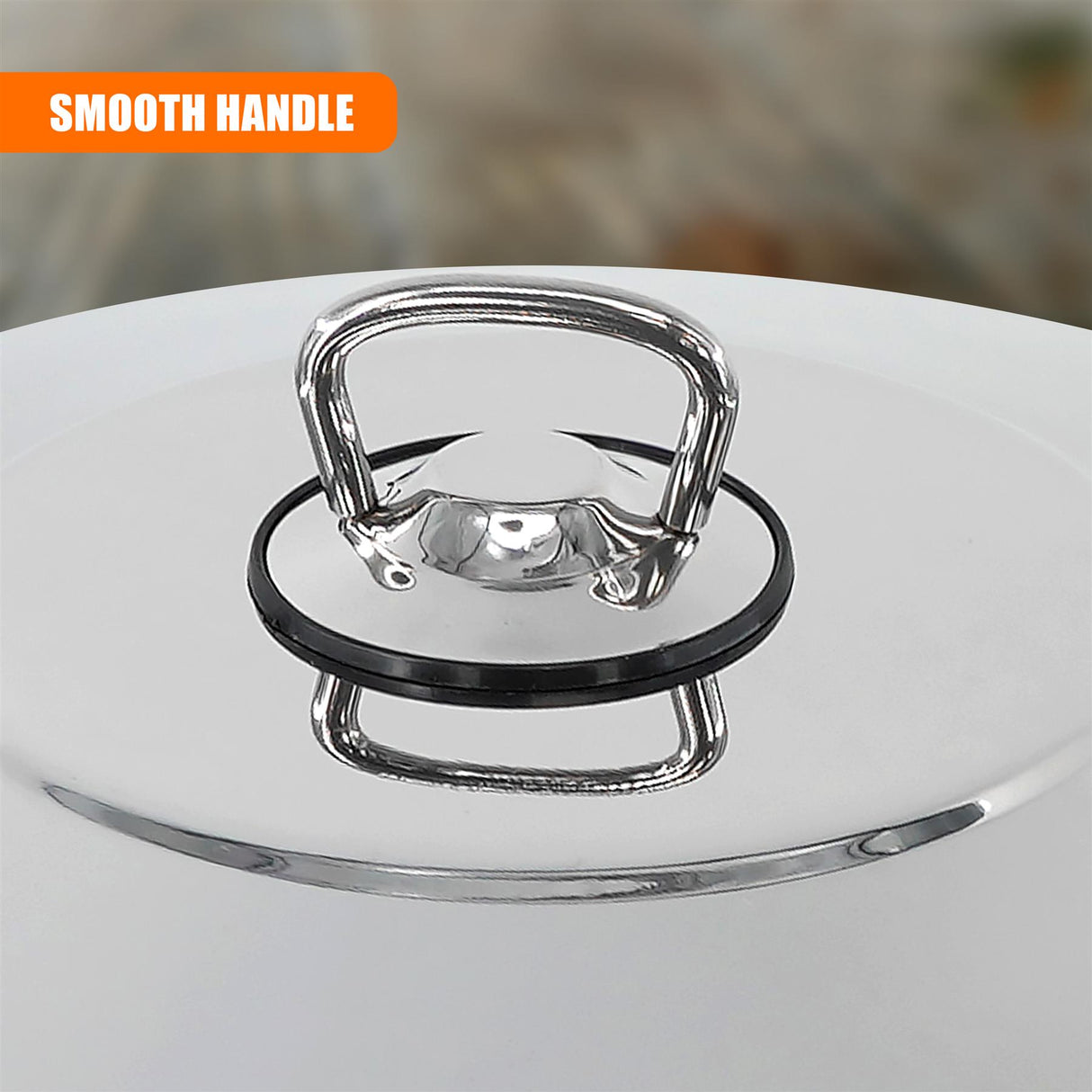 Gastro Shallow Pot With Lid 24 x 6 cm
