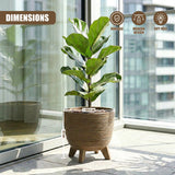 A leafy green plant is housed in a textured, woven brown pot that rests on four small wooden legs.