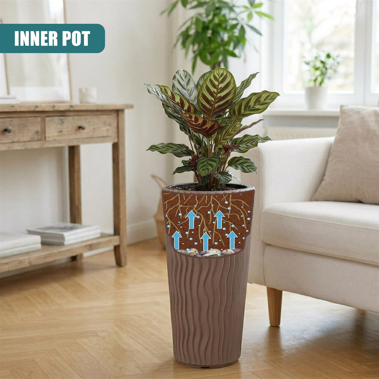 Tall, textured mocha brown pot featuring blue arrows, holding a potted green houseplant.