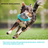 Pet Treat Dispenser Ball Toy