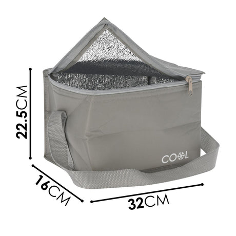 Geezy 10 L Cooler for Food and Drinks