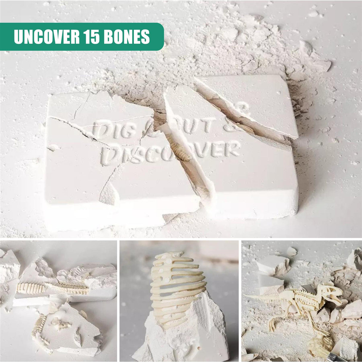 2-in-1 Fossil Excavation & Modelling Kit