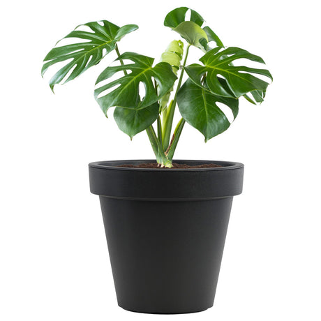 Anthracite Large Flower Pot Planter 35 x 31 cm by GEEZY - UKBuyZone