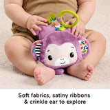 Fisher-Price Sing & Go Purple Monkey Stroller Toy