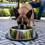 Stainless Steel Dog Bowl - Set of 2
