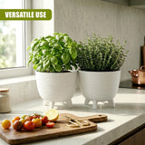 White potted herbs with legs on a counter, featuring a cutting board, tomatoes, and lemon.