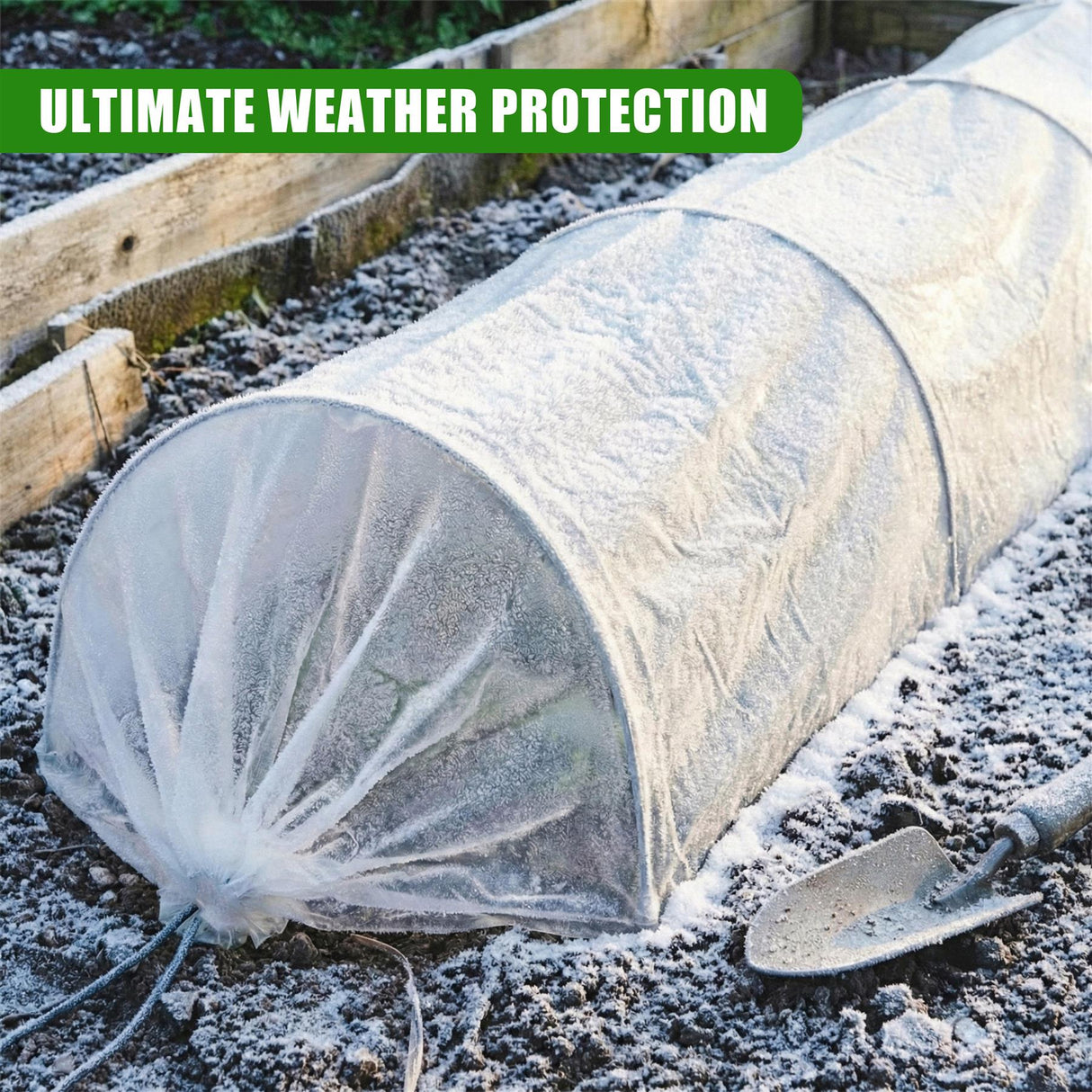 Greenhouse Polytunnel