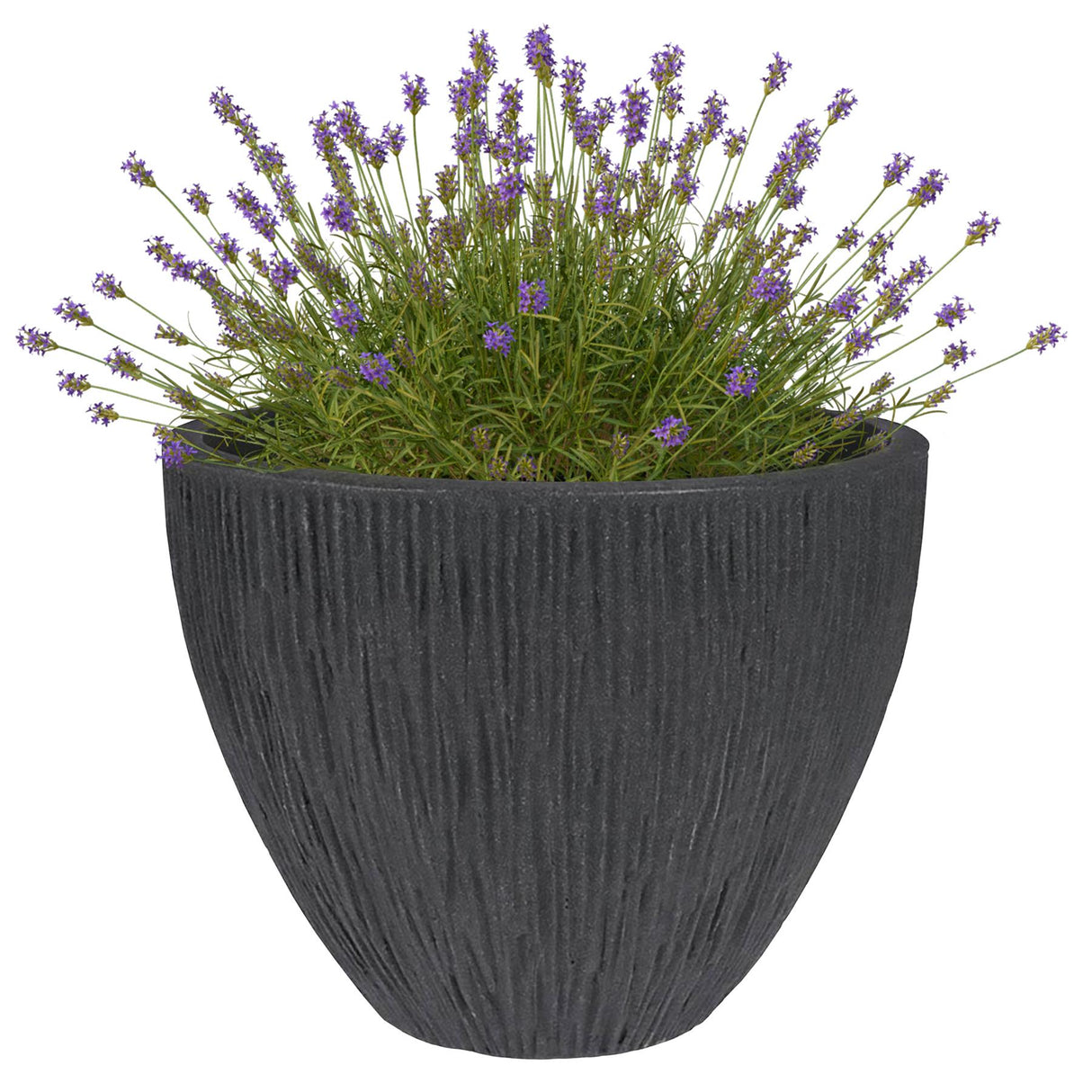 Large Anthracite Round Indoor Outdoor Flower Pot by GEEZY - UKBuyZone