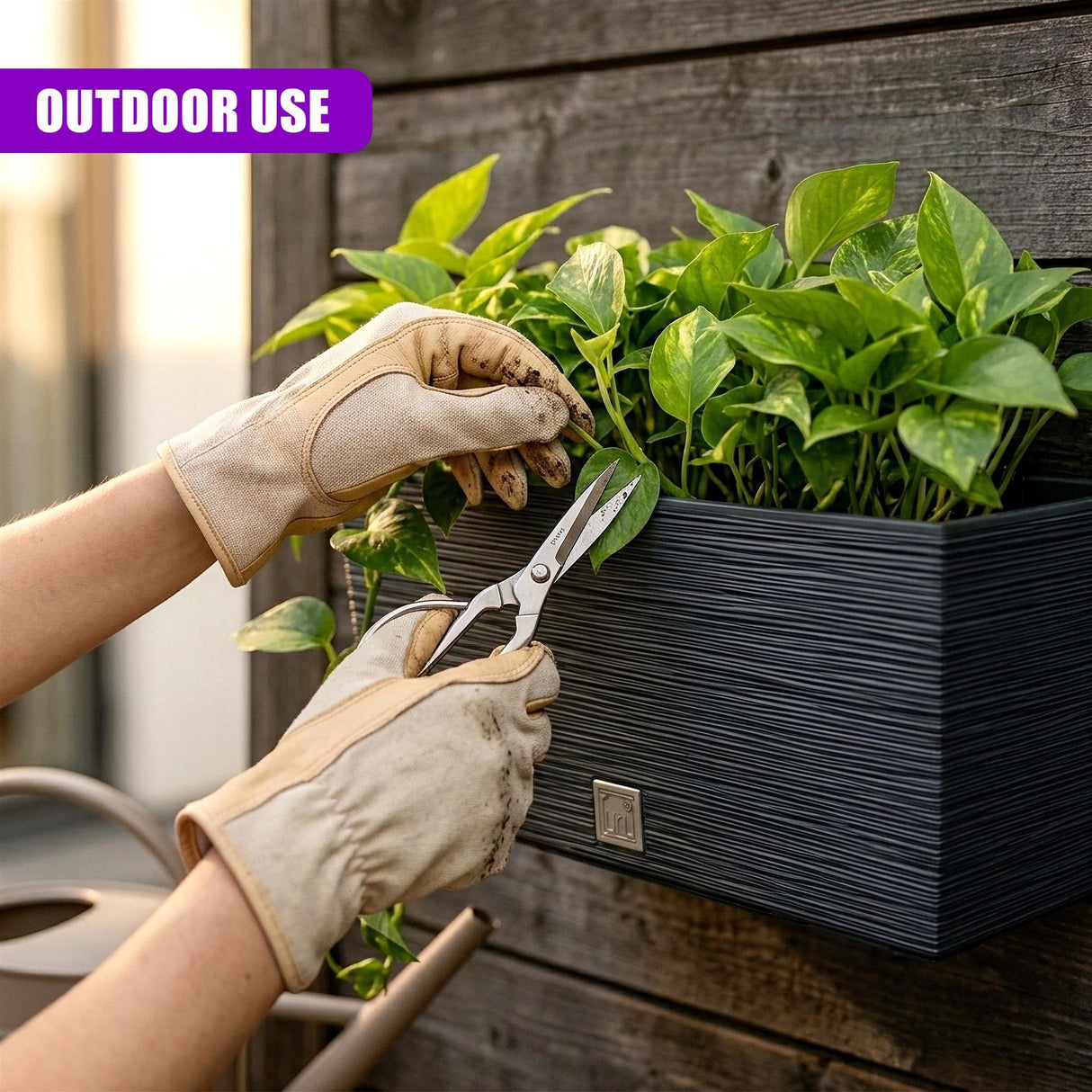 Gloves hold scissors trimming foliage planted in a black rectangular planter on a wooden surface.