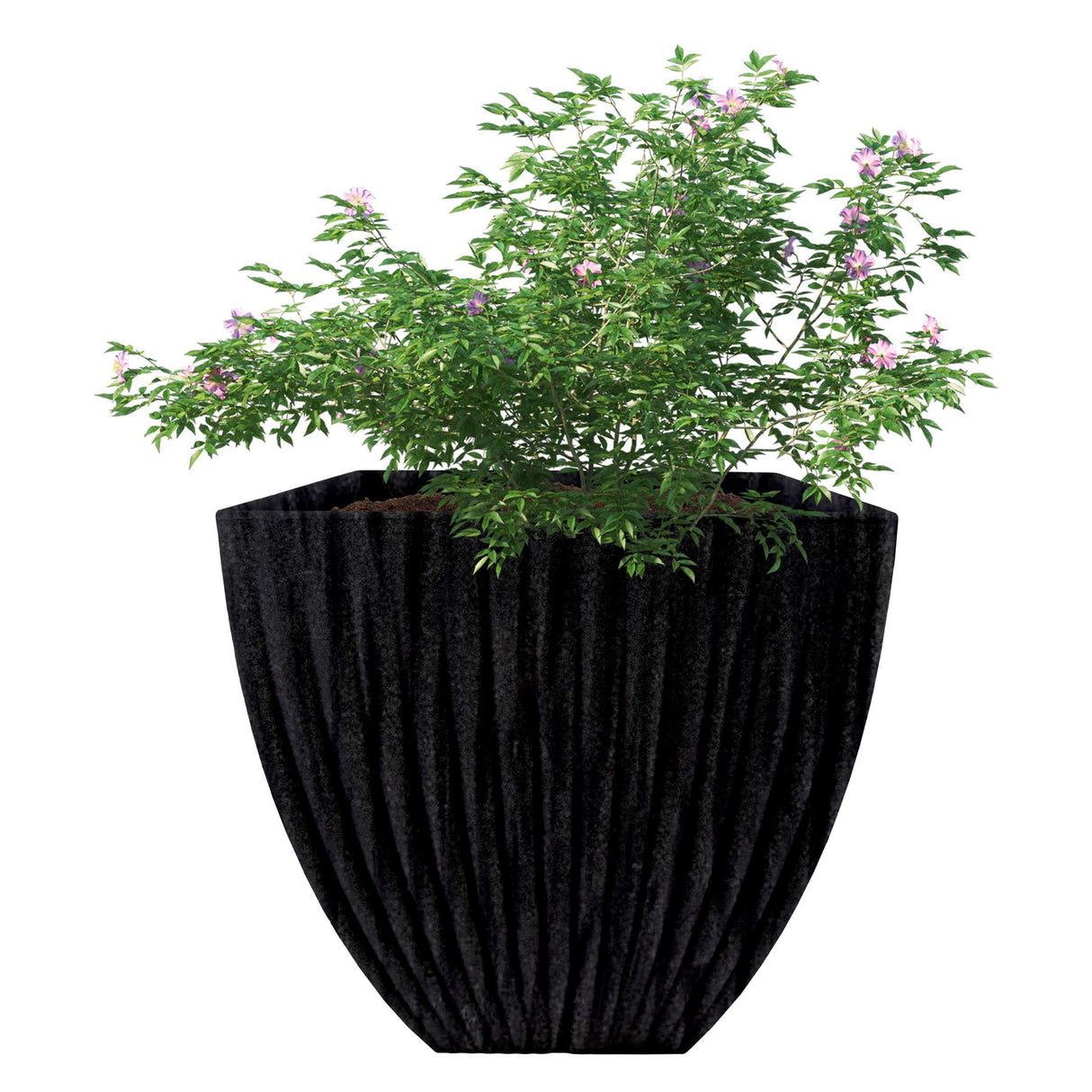 Large Charcoal Black Lotus Square Planter