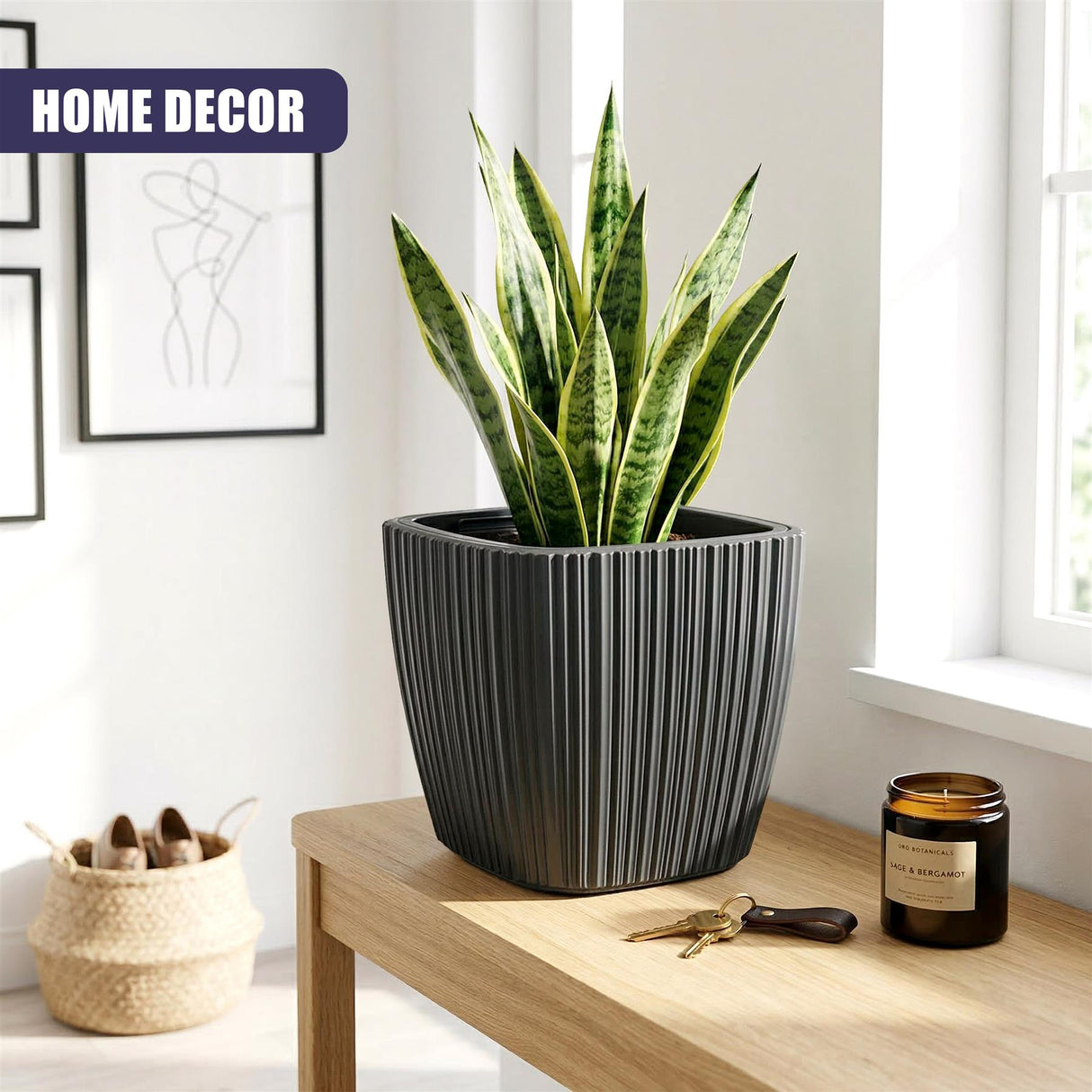 A ribbed black plant pot displays a variegated houseplant on a light wooden table surface.