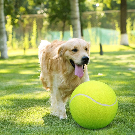 Giant Tennis Ball 24cm by The Magic Toy Shop - UKBuyZone