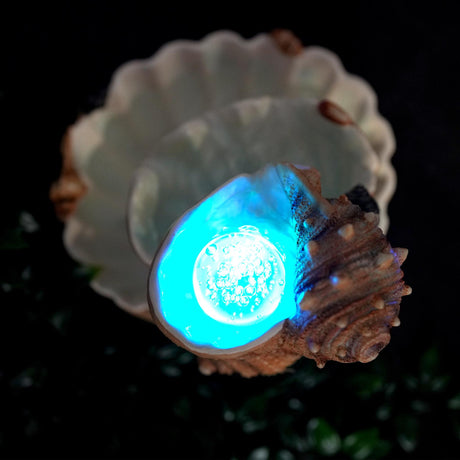 Clam Shell Water Feature Led Lights by GEEZY - UKBuyZone