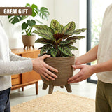 Two people support a ribbed, brown planter with short legs holding a lush tropical potted plant.