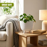White, ribbed flower pot with legs holding a green plant on a light wooden side table.