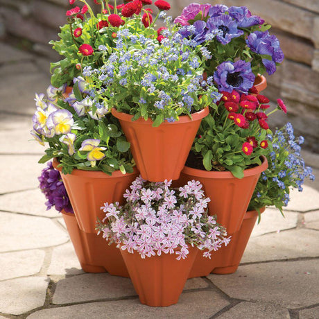 Strawberry/ Herb/ Flower Pot by GEEZY - UKBuyZone