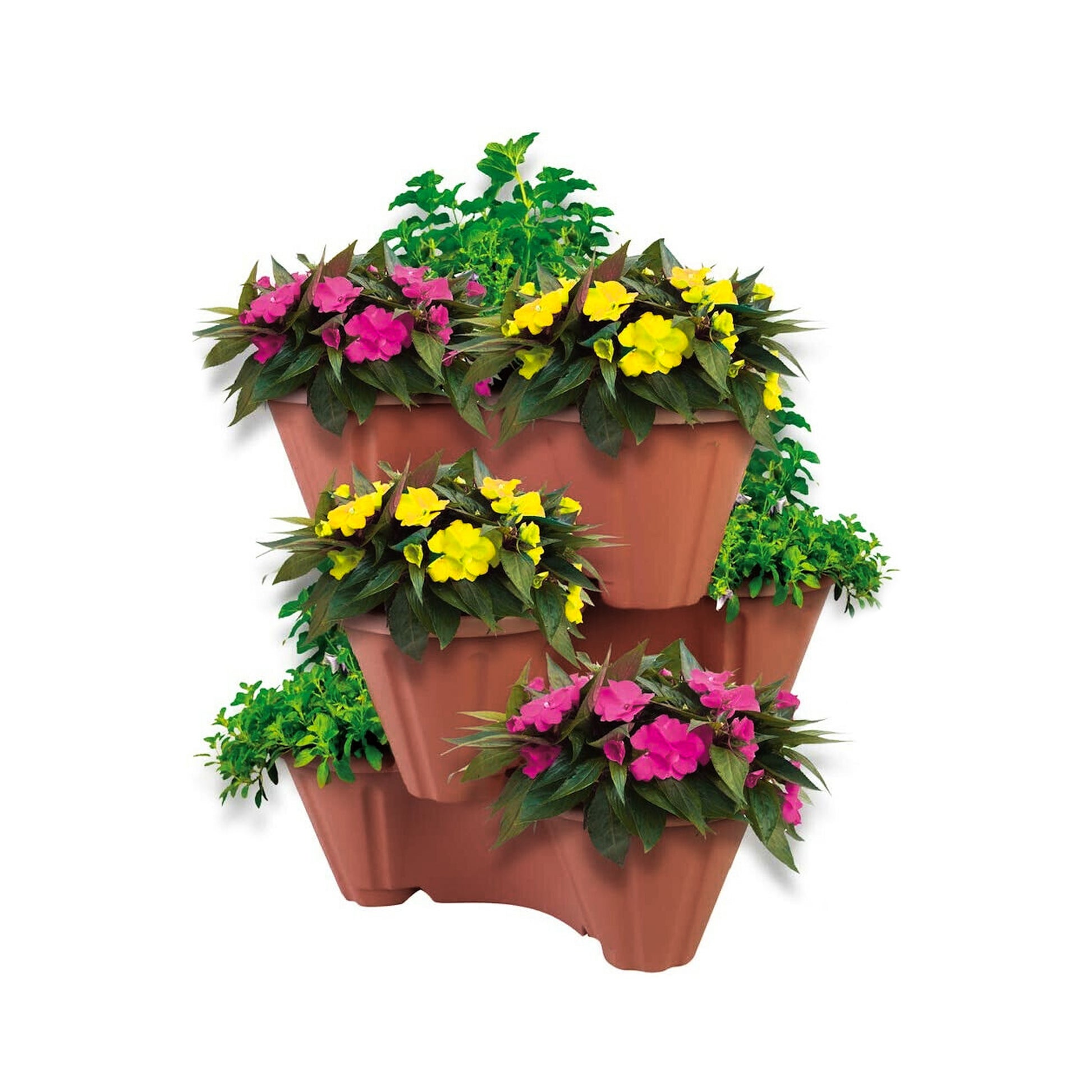 Strawberry/ Herb/ Flower Pot by GEEZY - UKBuyZone